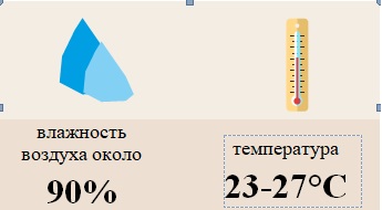 Антракноз 2.jpg