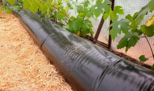 Аккумулятор тепла Тепличный (10 метров)